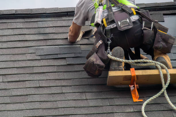 Best Roof Moss and Algae Removal  in Ashland, CA