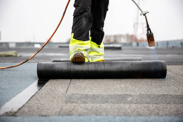 Best Asphalt Shingle Roofing  in Ashland, CA