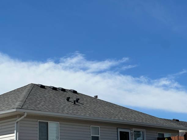 Best 4 Ply Roofing  in Ashland, CA